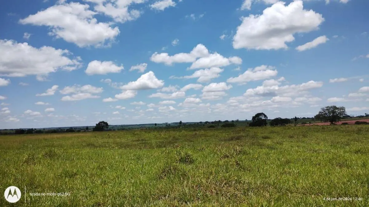 Fazenda à venda de 77 ha em Jales, SP, Brasil