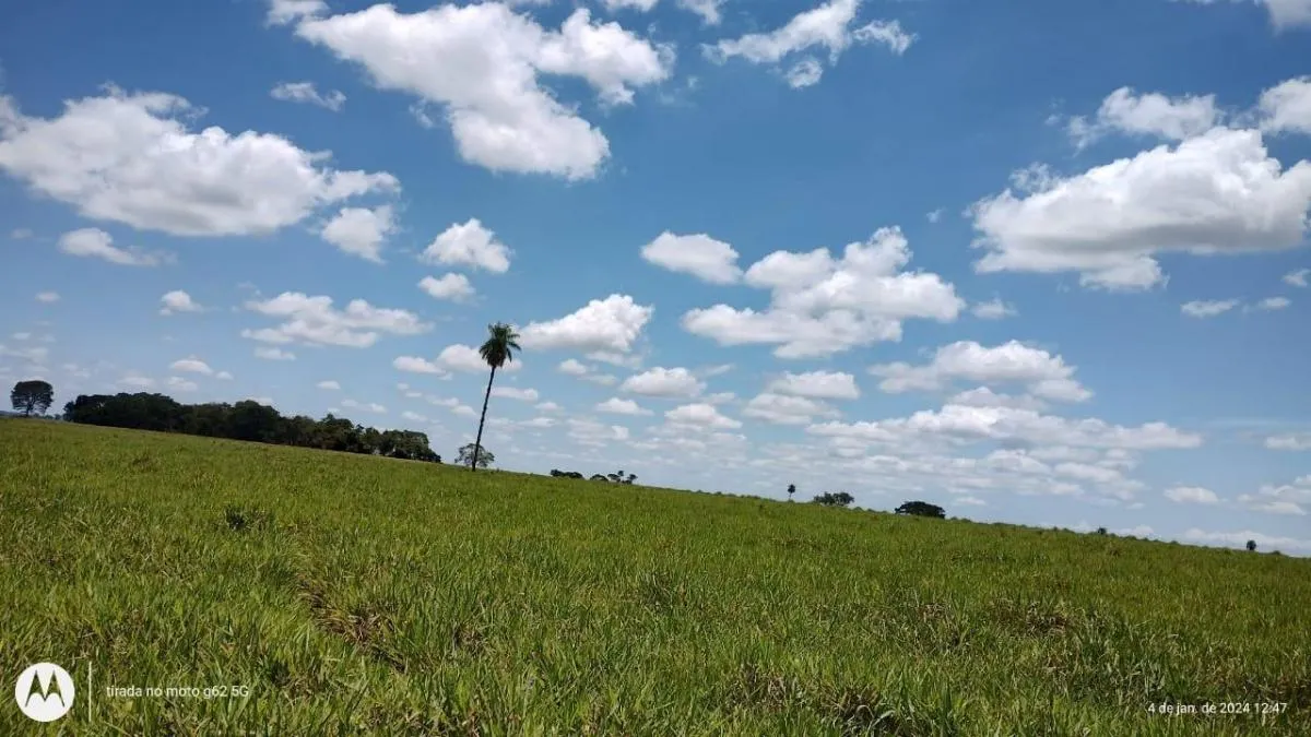 Fazenda à venda de 77 ha em Jales, SP, Brasil