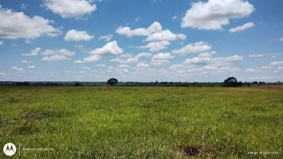 Fazenda à venda de 77 ha em Jales, SP, Brasil