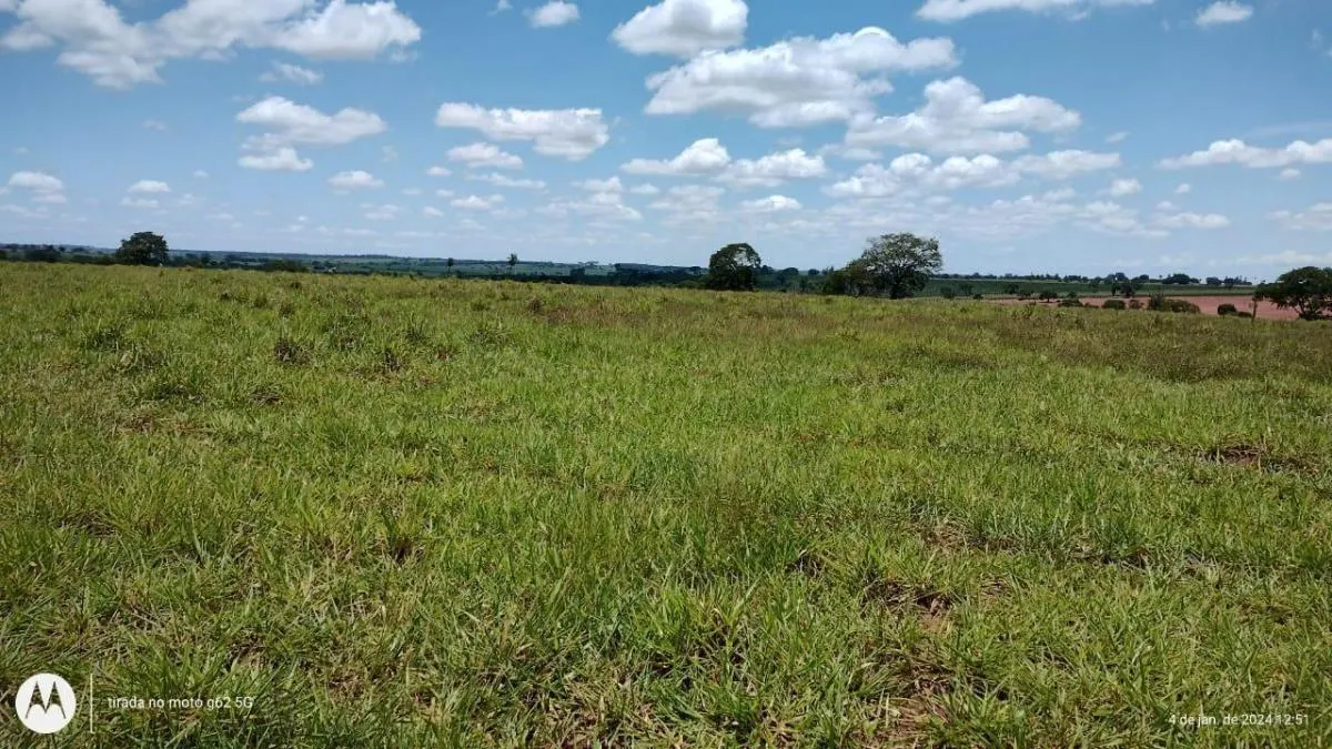 Fazenda à venda de 77 ha em Jales, SP, Brasil