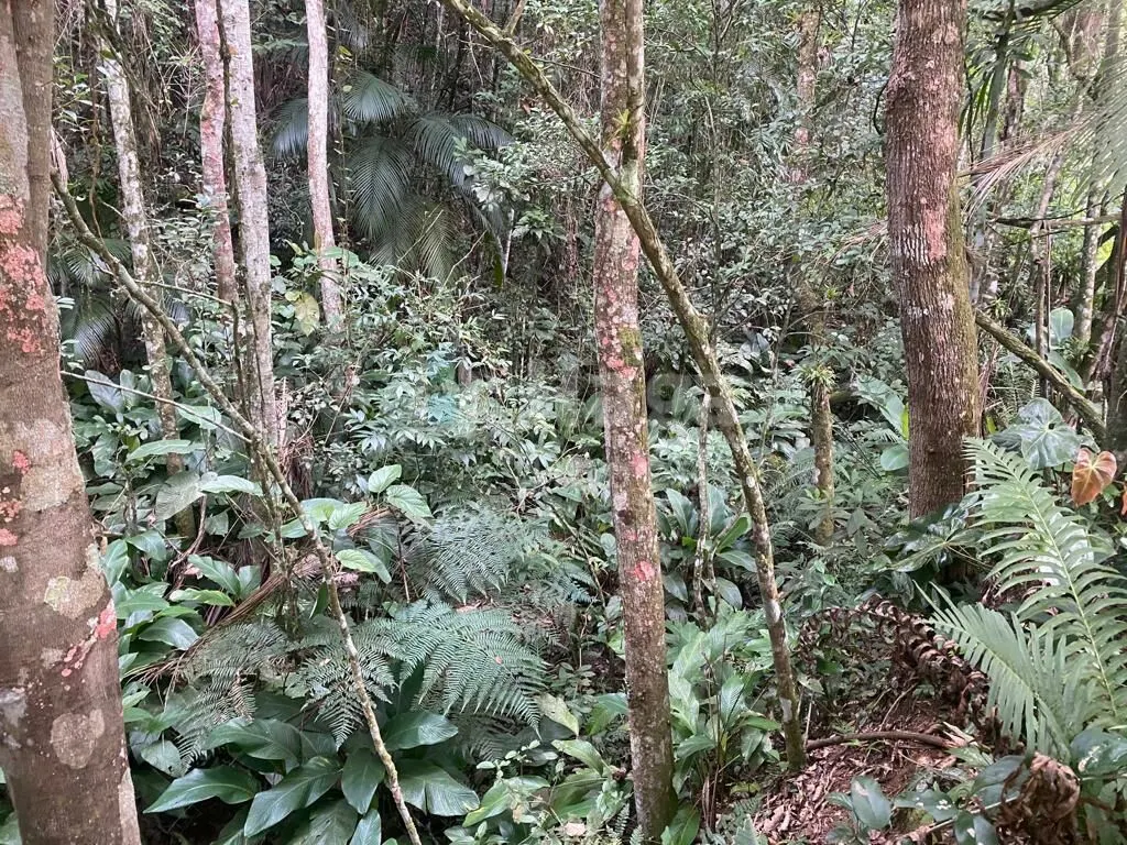 Chácara à venda de 5.800 m² em Brusque, SC, Brasil
