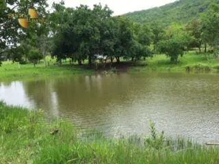 Fazenda à venda de 288 ha em Cáceres, MT, Brasil