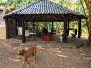 Fazenda à venda de 288 ha em Cáceres, MT, Brasil