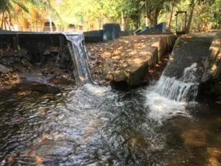 Fazenda à venda de 288 ha em Cáceres, MT, Brasil