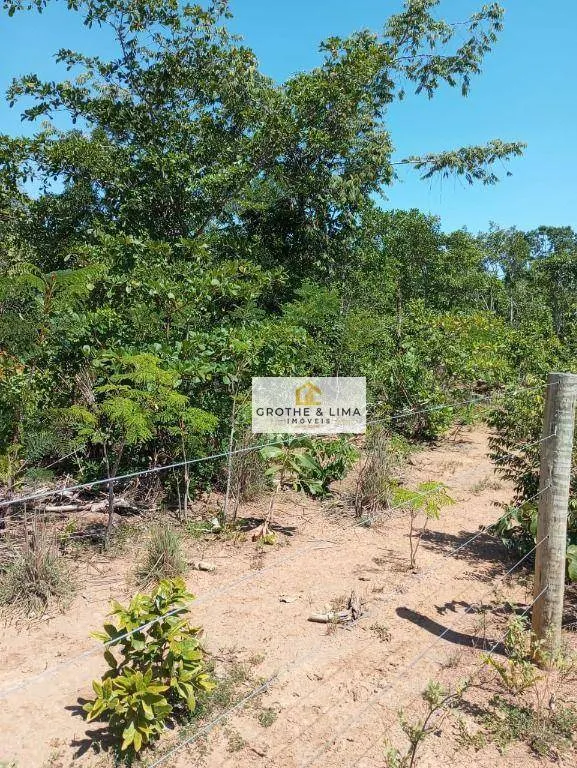 Fazenda à venda de 518 ha em Sucupira, TO, Brasil