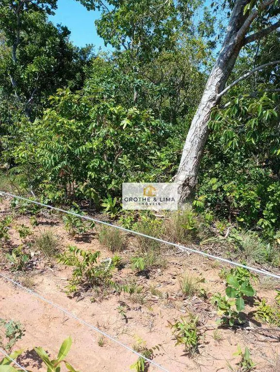 Fazenda à venda de 518 ha em Sucupira, TO, Brasil