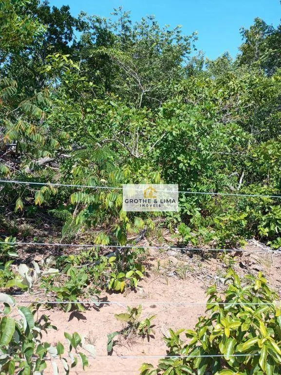Fazenda à venda de 518 ha em Sucupira, TO, Brasil