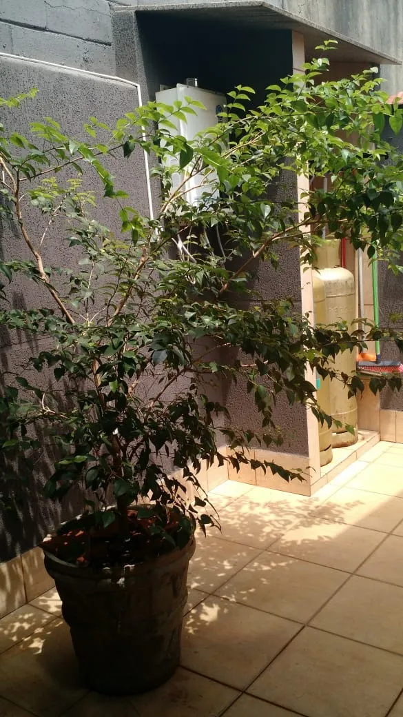 Casa à venda de 250 m² em Sumaré, SP, Brasil