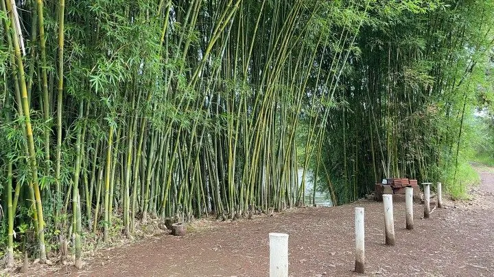 Chácara à venda de 1.900 m² em Itati, RS, Brasil