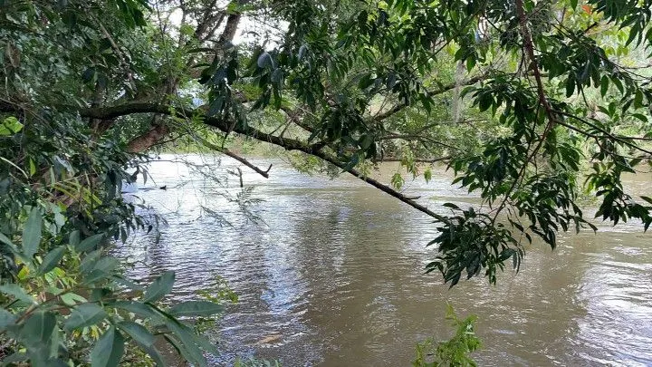 Chácara à venda de 1.900 m² em Itati, RS, Brasil