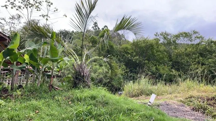 Chácara à venda de 1.900 m² em Itati, RS, Brasil