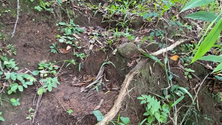 Chácara à venda de 1.900 m² em Itati, RS, Brasil