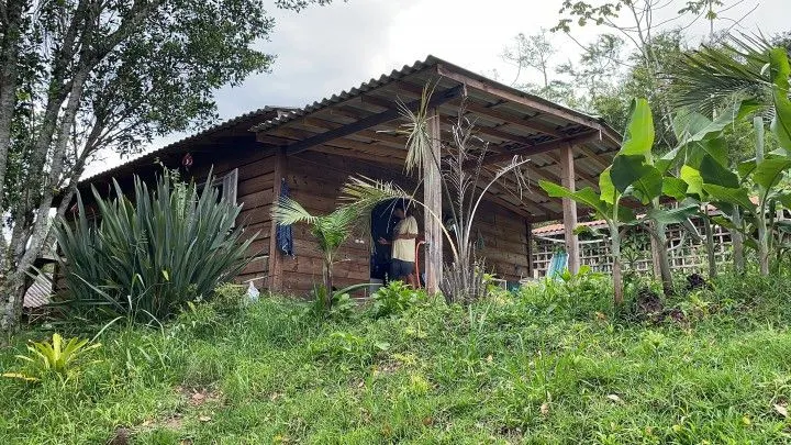 Chácara à venda de 1.900 m² em Itati, RS, Brasil