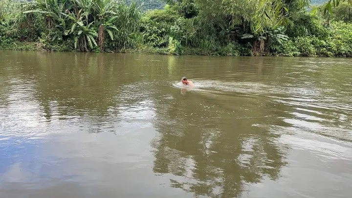 Chácara à venda de 1.900 m² em Itati, RS, Brasil