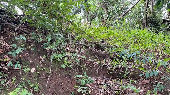 Chácara à venda de 1.900 m² em Itati, RS, Brasil