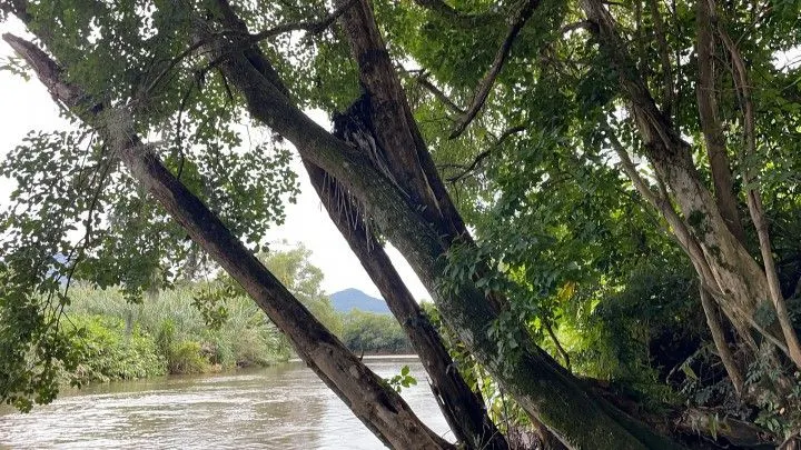 Chácara à venda de 1.900 m² em Itati, RS, Brasil