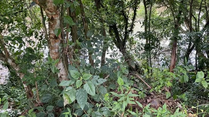 Chácara à venda de 1.900 m² em Itati, RS, Brasil