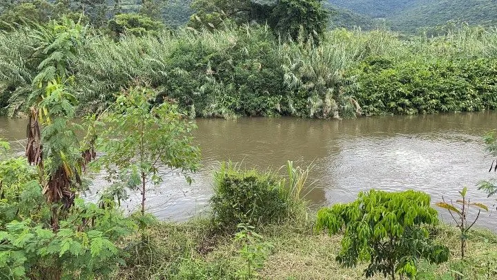 Chácara à venda de 1.900 m² em Itati, RS, Brasil