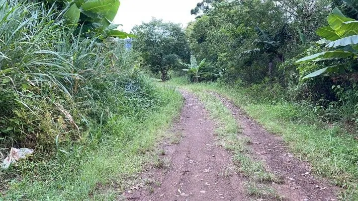 Chácara à venda de 1.900 m² em Itati, RS, Brasil