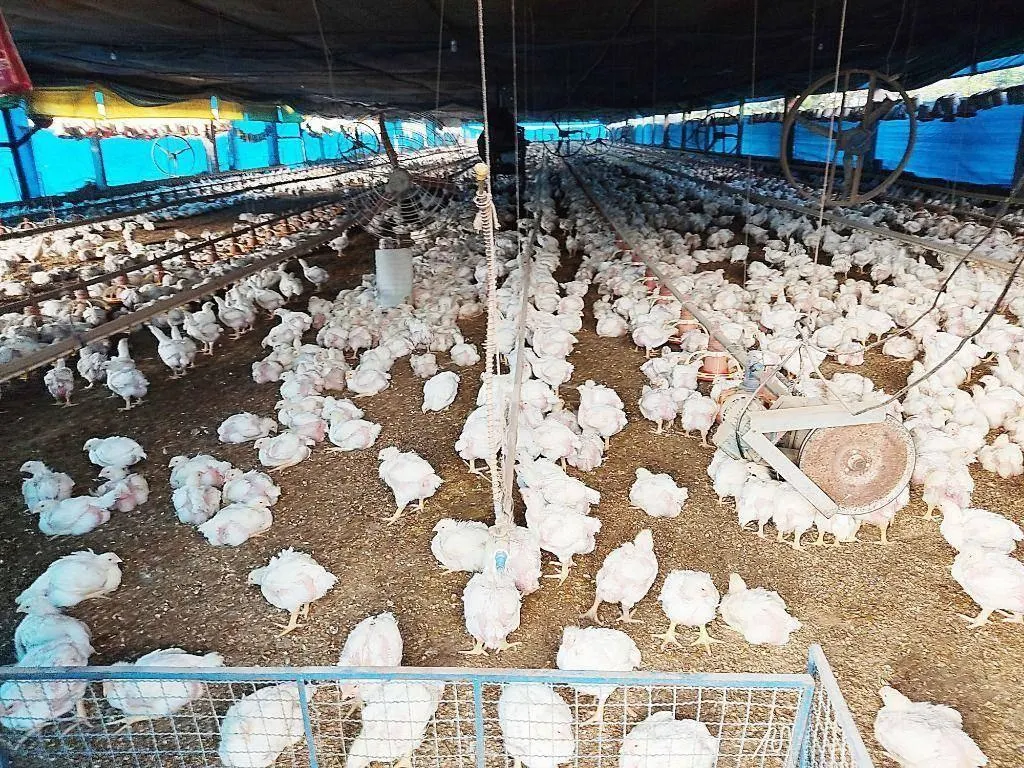 Fazenda à venda de 54.691 ha em Piracicaba, SP, Brasil