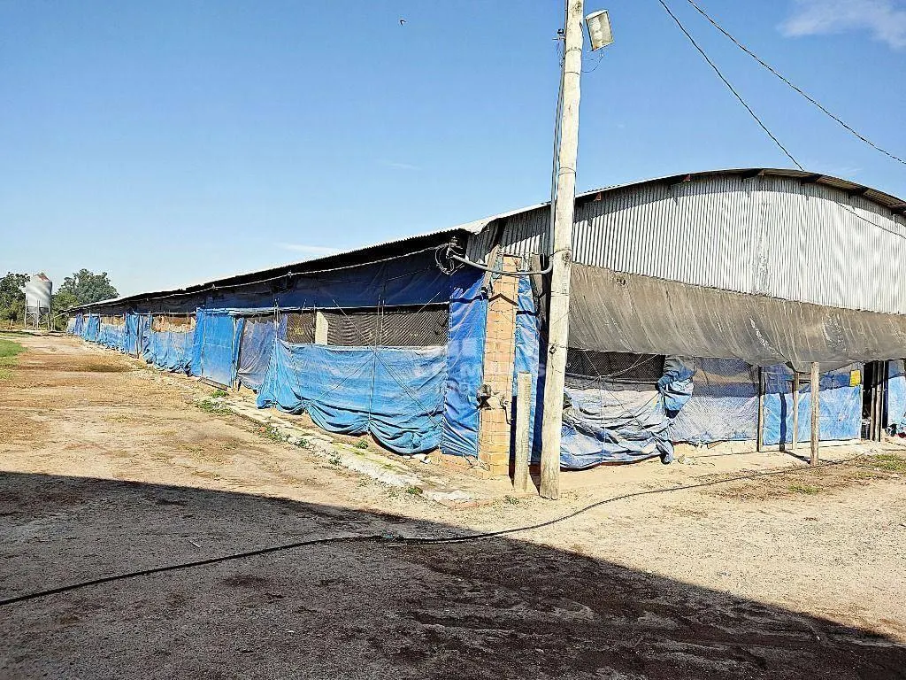 Fazenda à venda de 54.691 ha em Piracicaba, SP, Brasil