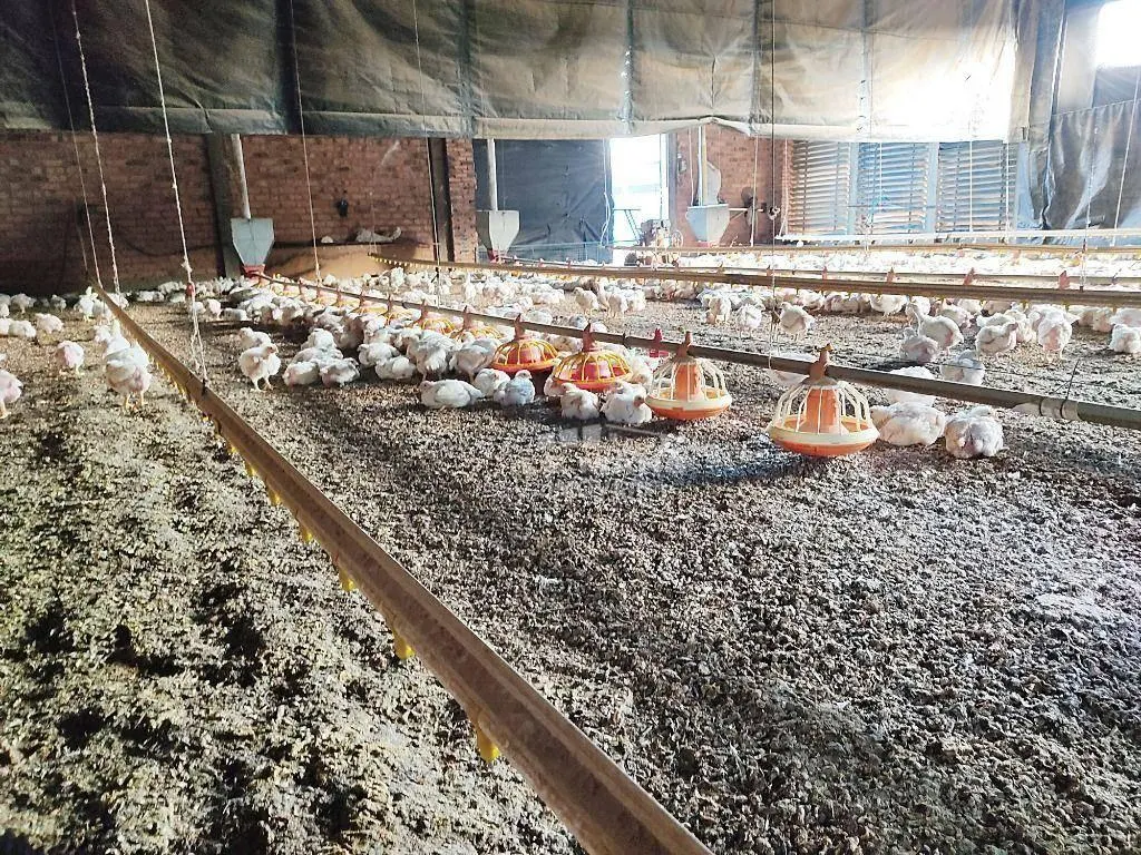 Fazenda à venda de 54.691 ha em Piracicaba, SP, Brasil