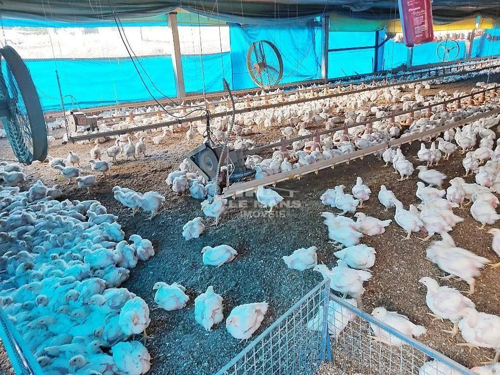 Fazenda à venda de 54.691 ha em Piracicaba, SP, Brasil