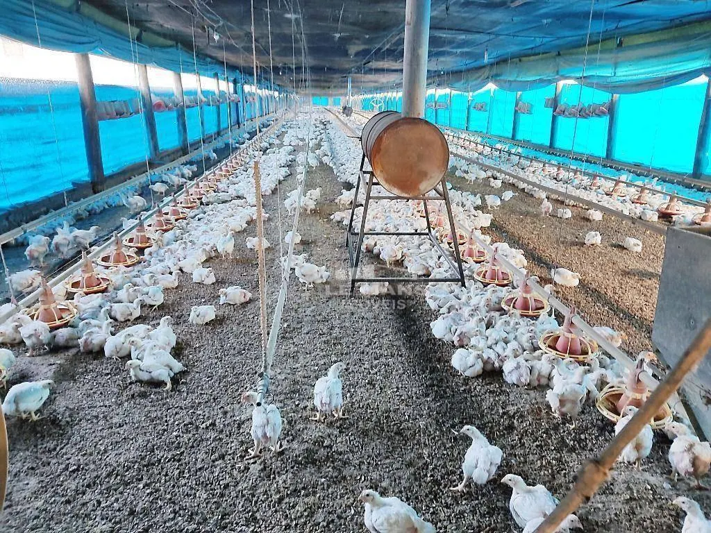 Fazenda à venda de 54.691 ha em Piracicaba, SP, Brasil