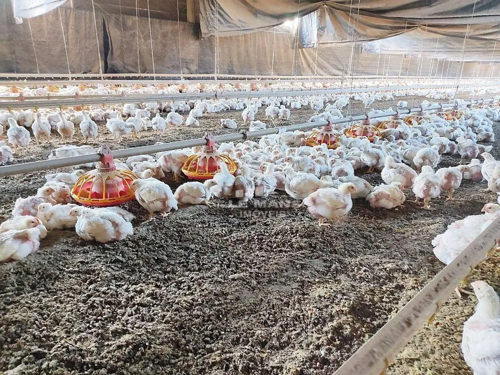 Fazenda à venda de 54.691 ha em Piracicaba, SP, Brasil