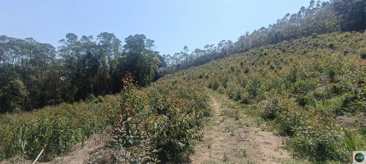 Chácara à venda de 2 ha em Salesópolis, SP, Brasil