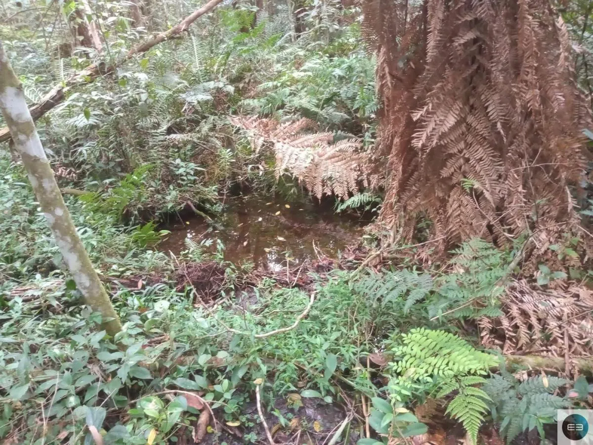 Chácara à venda de 2 ha em Salesópolis, SP, Brasil