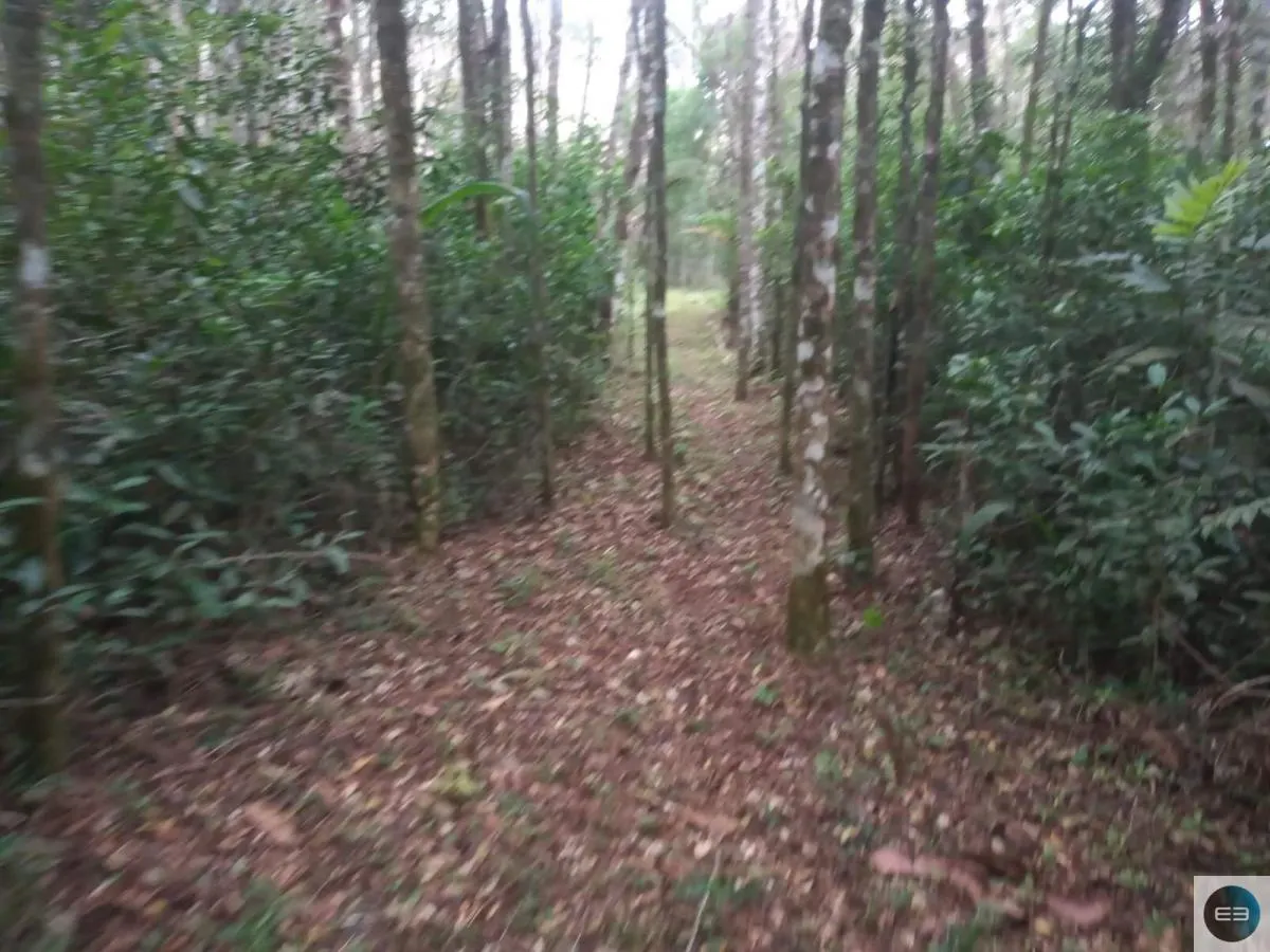 Chácara à venda de 2 ha em Salesópolis, SP, Brasil