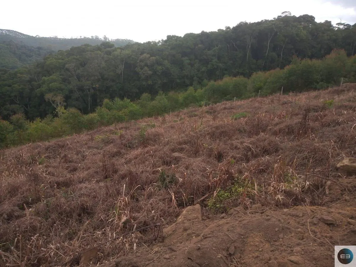 Chácara à venda de 2 ha em Salesópolis, SP, Brasil