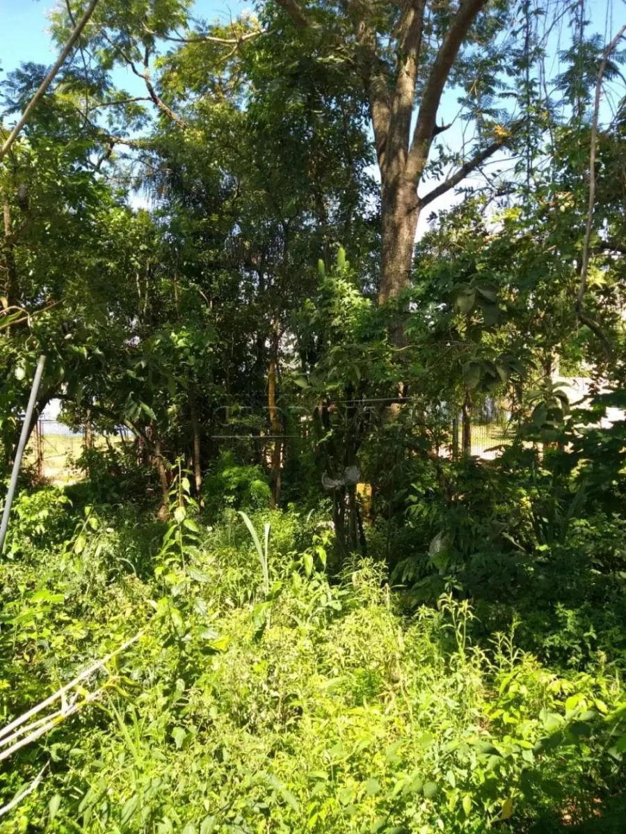 Chácara à venda de 742 m² em Itirapina, SP, Brasil