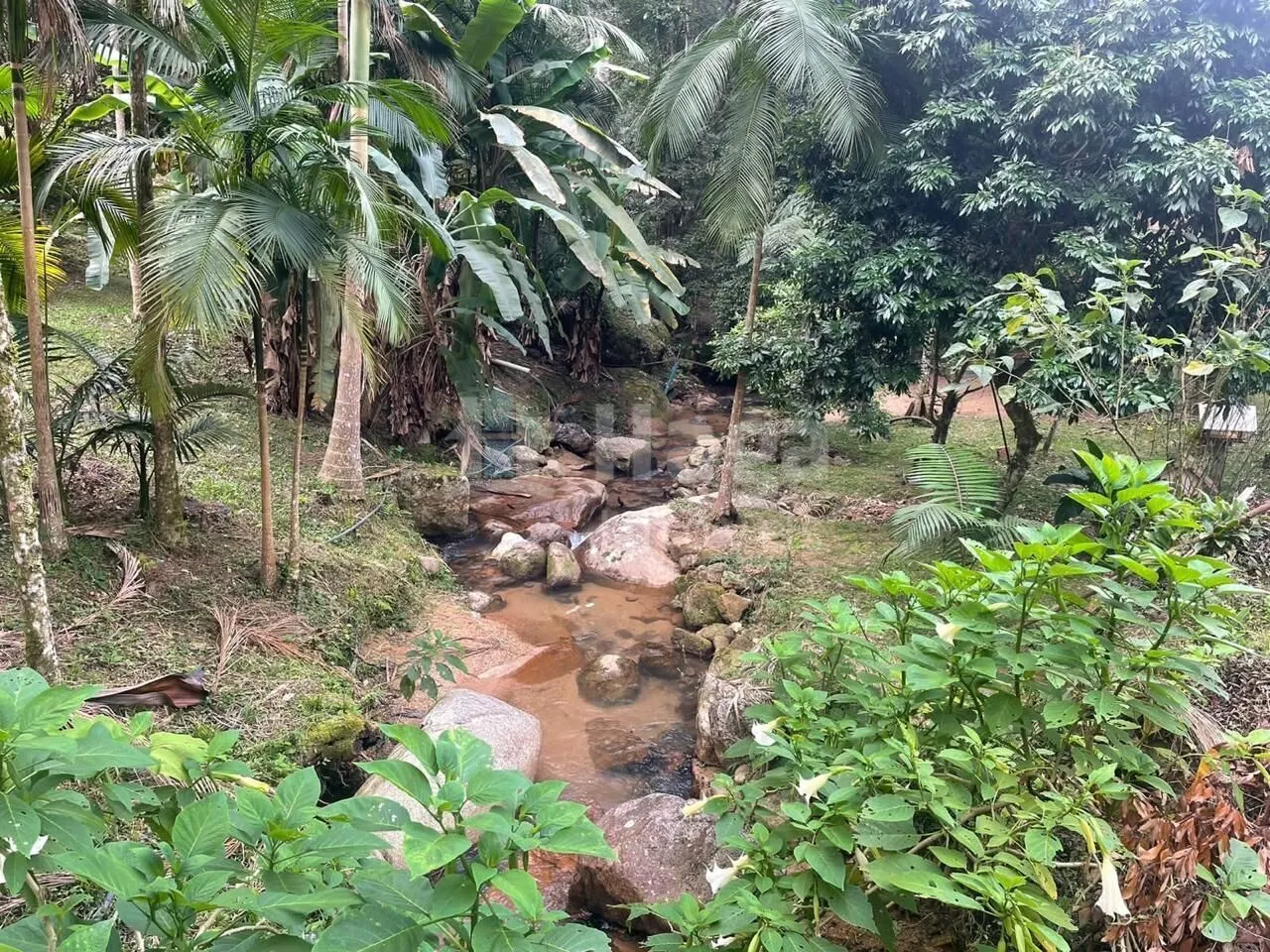 Chácara à venda de 6.603 m² em São João Batista, SC, Brasil