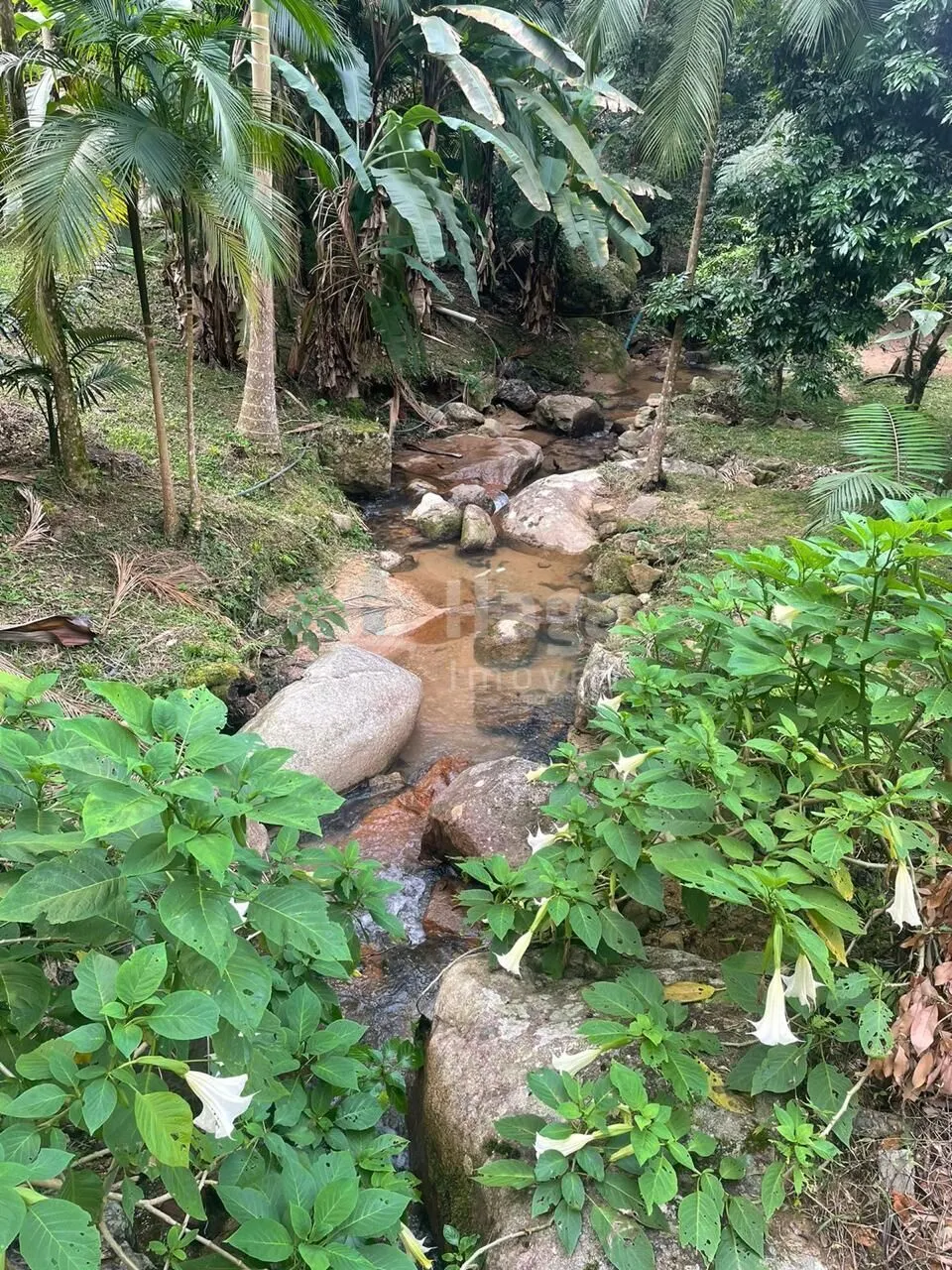 Chácara à venda de 6.603 m² em São João Batista, SC, Brasil