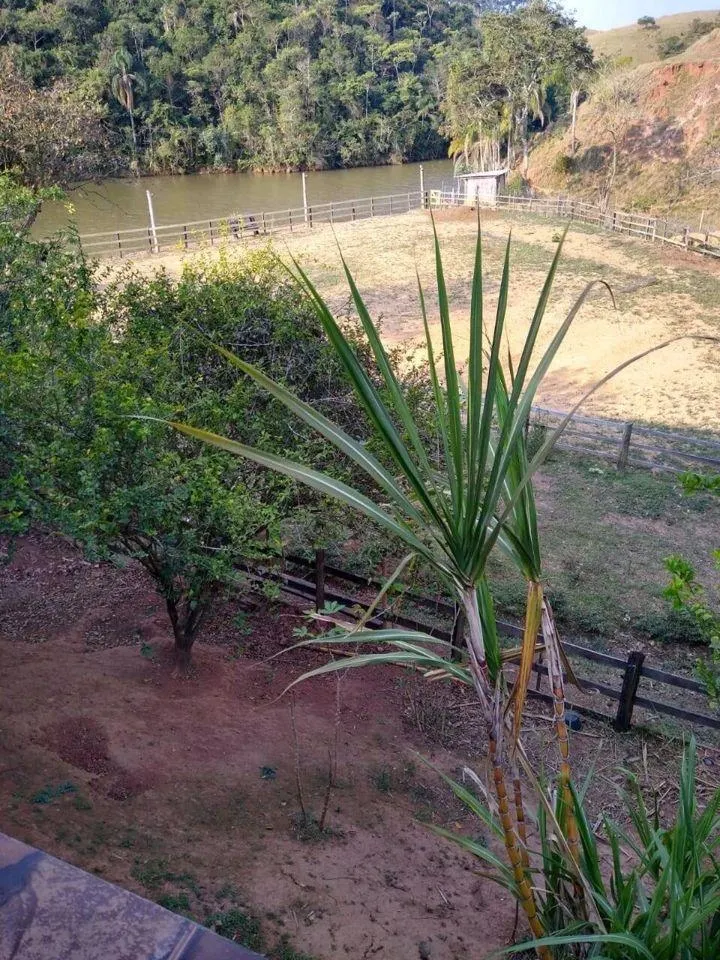 Fazenda à venda de 200 ha em Caçapava, SP, Brasil