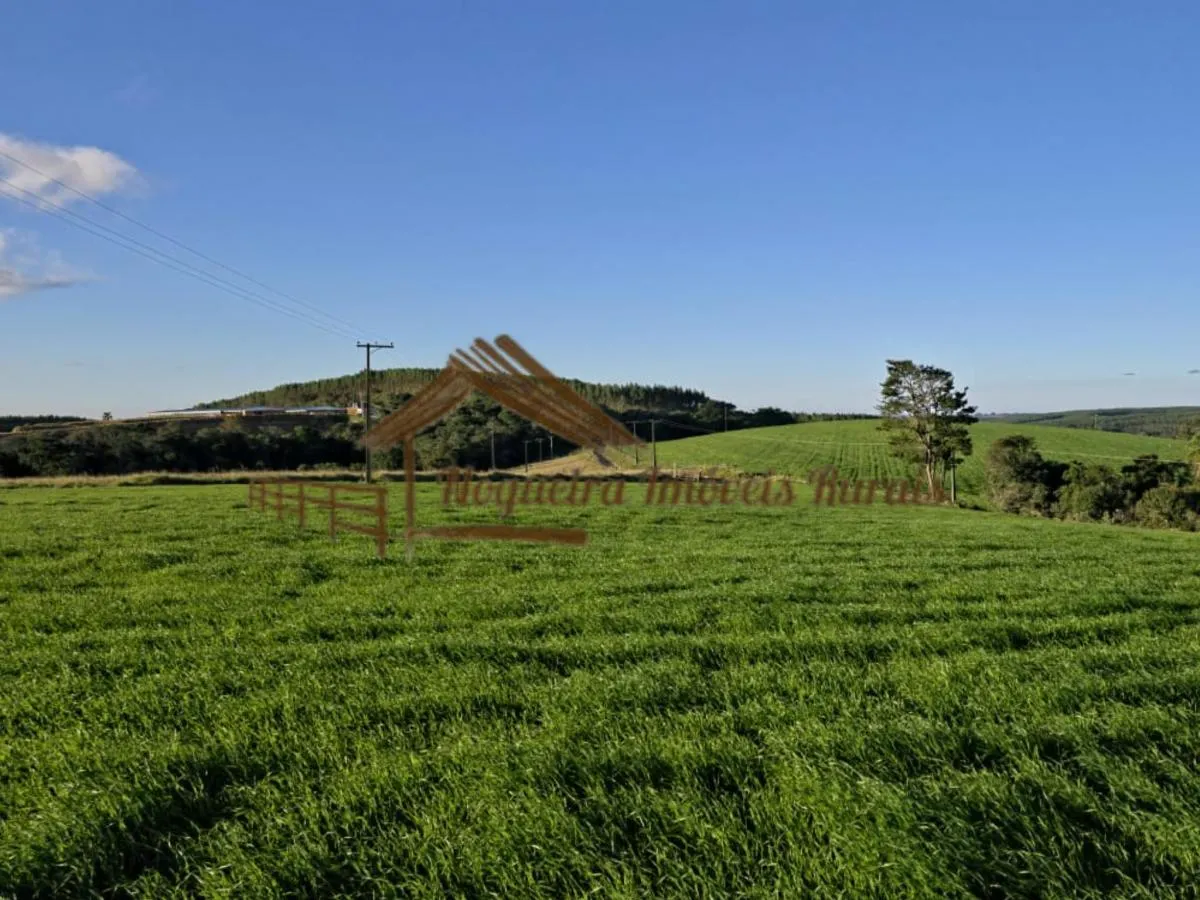 Fazenda à venda de 117 ha em Itapetininga, SP, Brasil