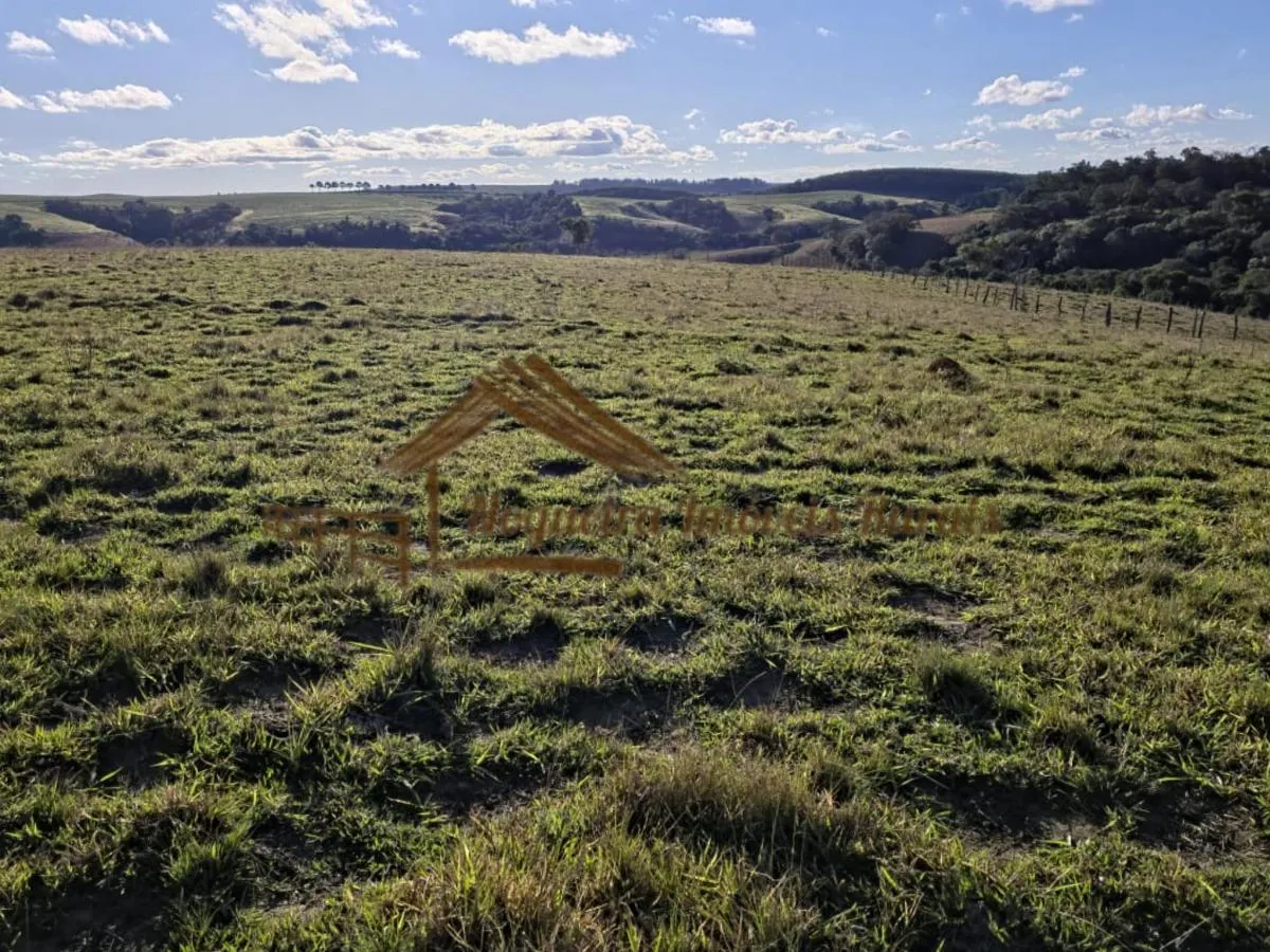 Fazenda à venda de 117 ha em Itapetininga, SP, Brasil