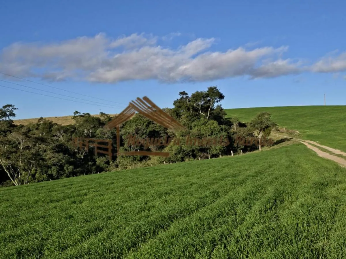 Fazenda à venda de 117 ha em Itapetininga, SP, Brasil