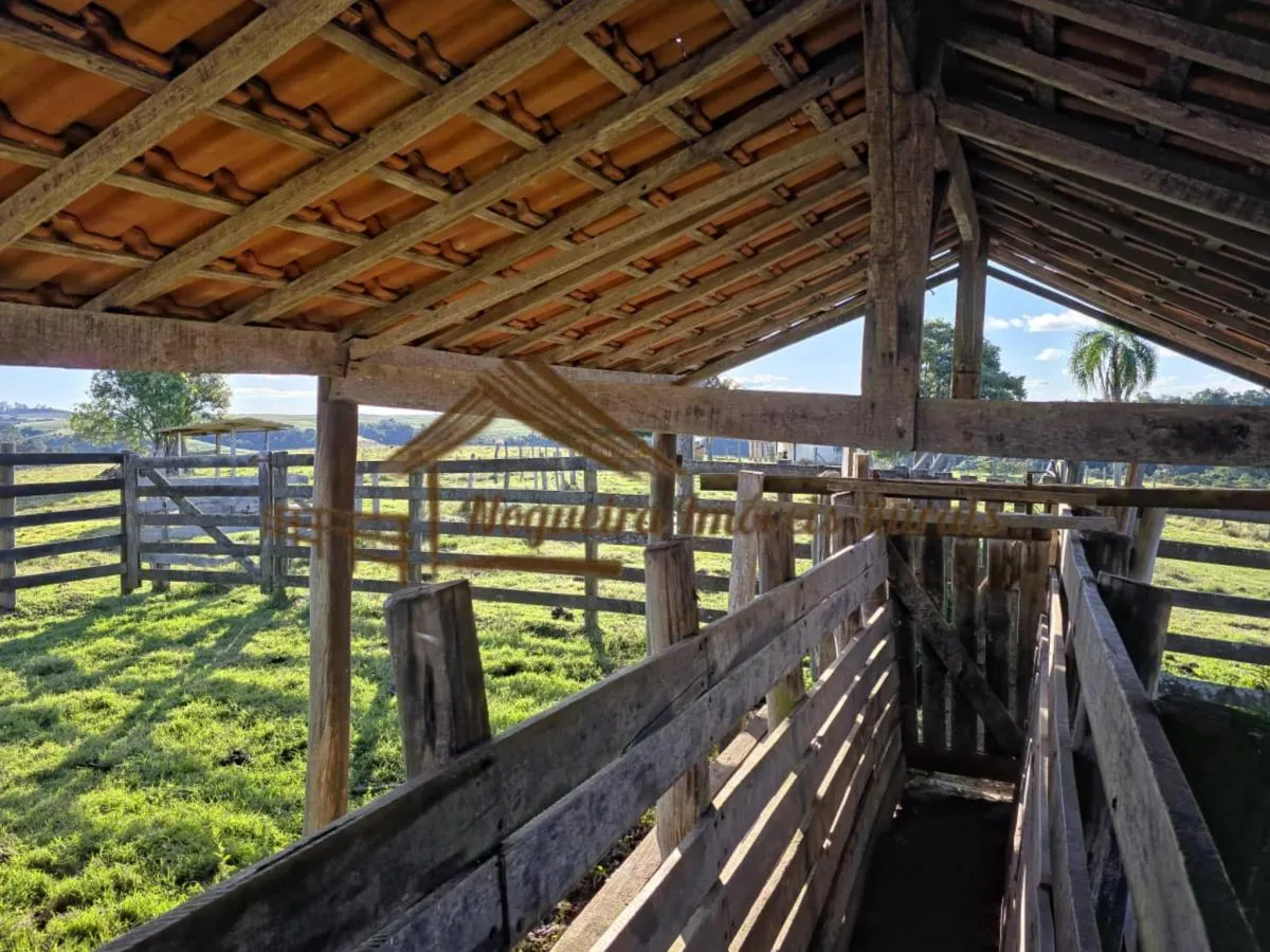 Fazenda à venda de 117 ha em Itapetininga, SP, Brasil