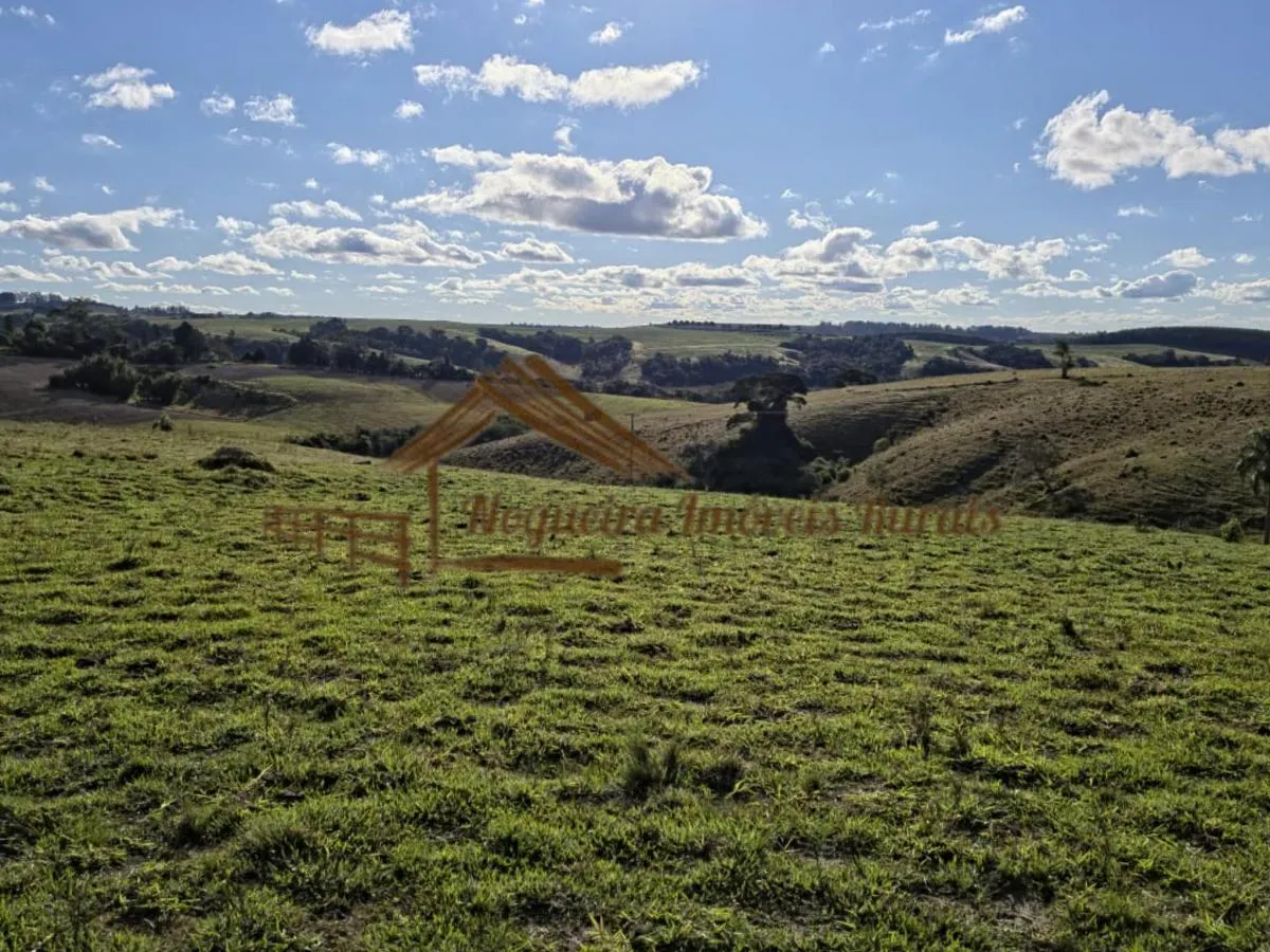 Fazenda à venda de 117 ha em Itapetininga, SP, Brasil