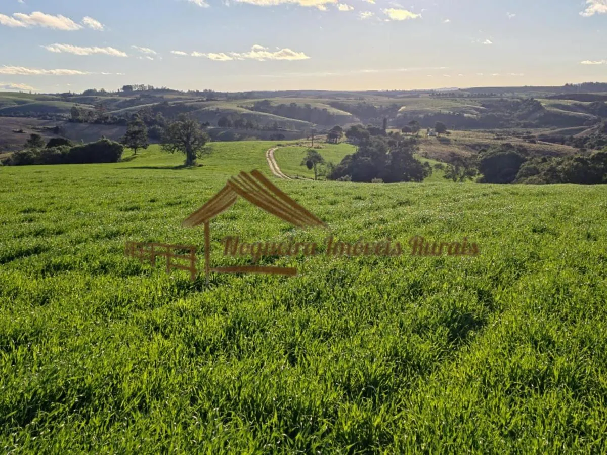Fazenda à venda de 117 ha em Itapetininga, SP, Brasil