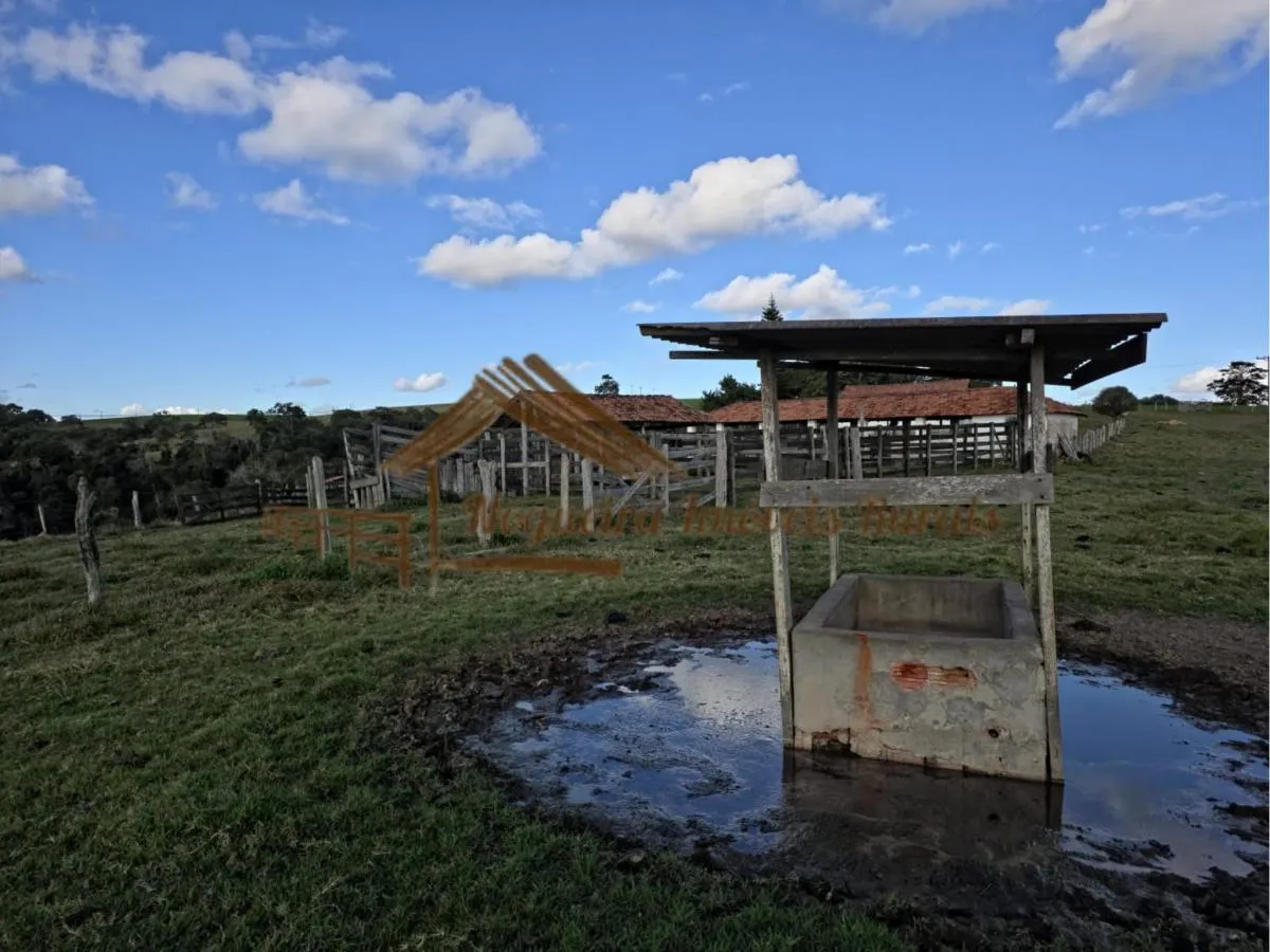 Fazenda à venda de 117 ha em Itapetininga, SP, Brasil