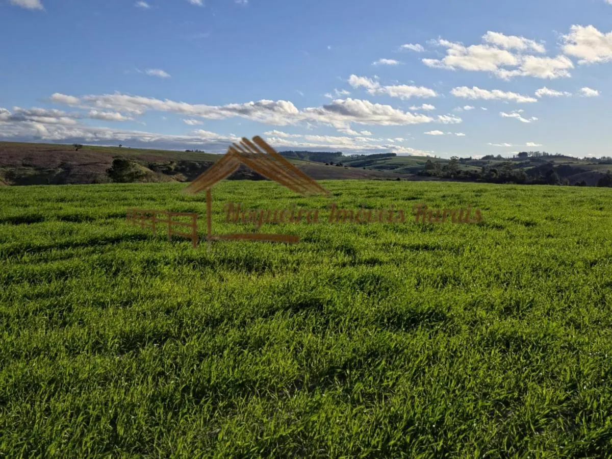 Fazenda à venda de 117 ha em Itapetininga, SP, Brasil