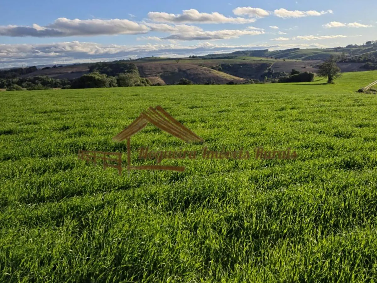 Fazenda à venda de 117 ha em Itapetininga, SP, Brasil