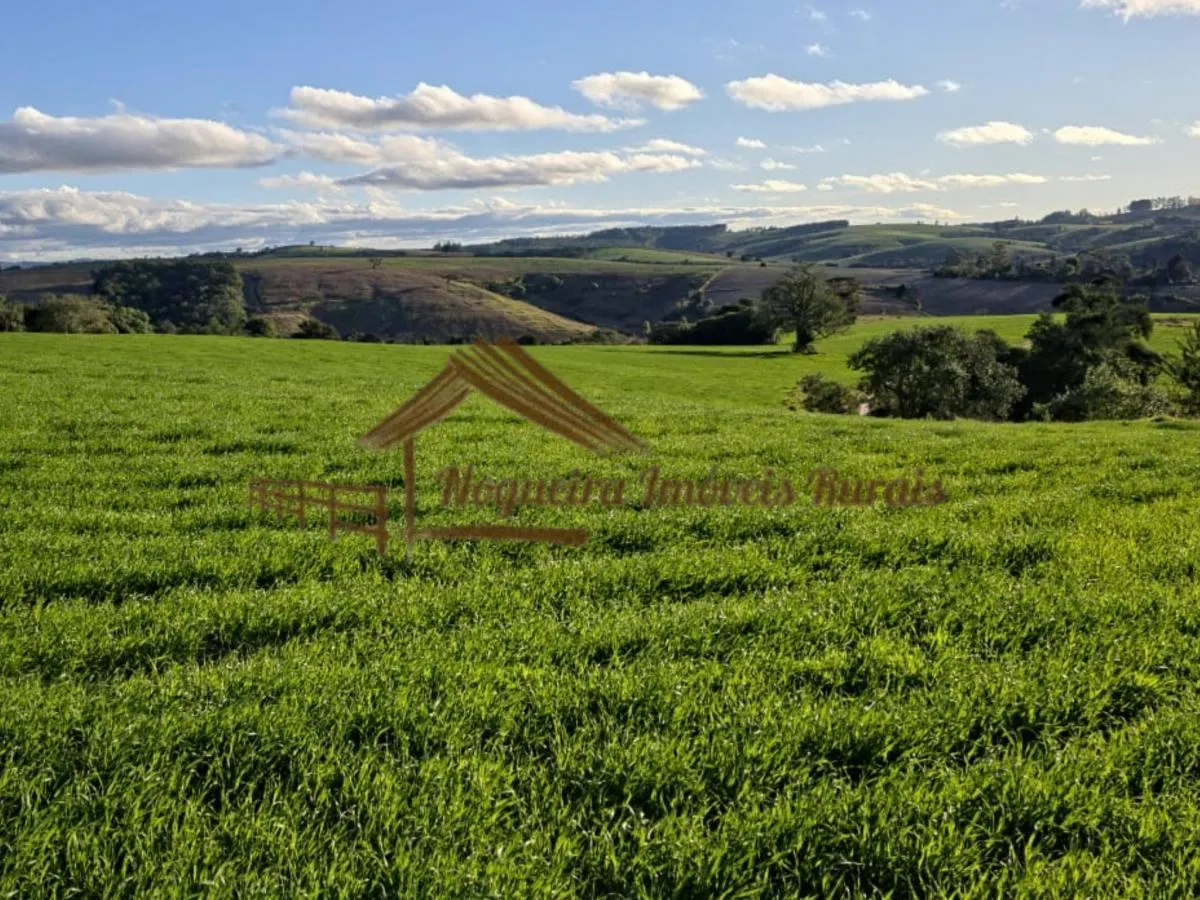 Fazenda à venda de 117 ha em Itapetininga, SP, Brasil