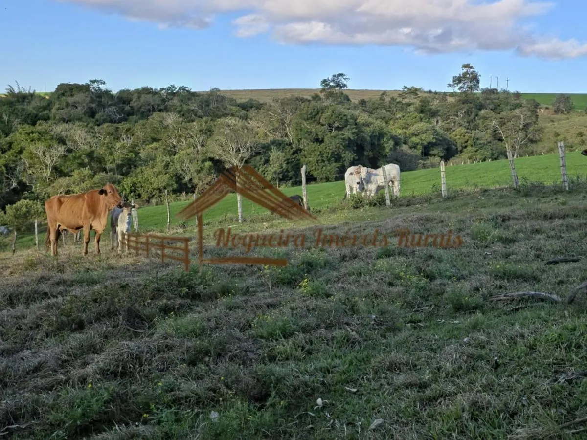 Fazenda à venda de 117 ha em Itapetininga, SP, Brasil