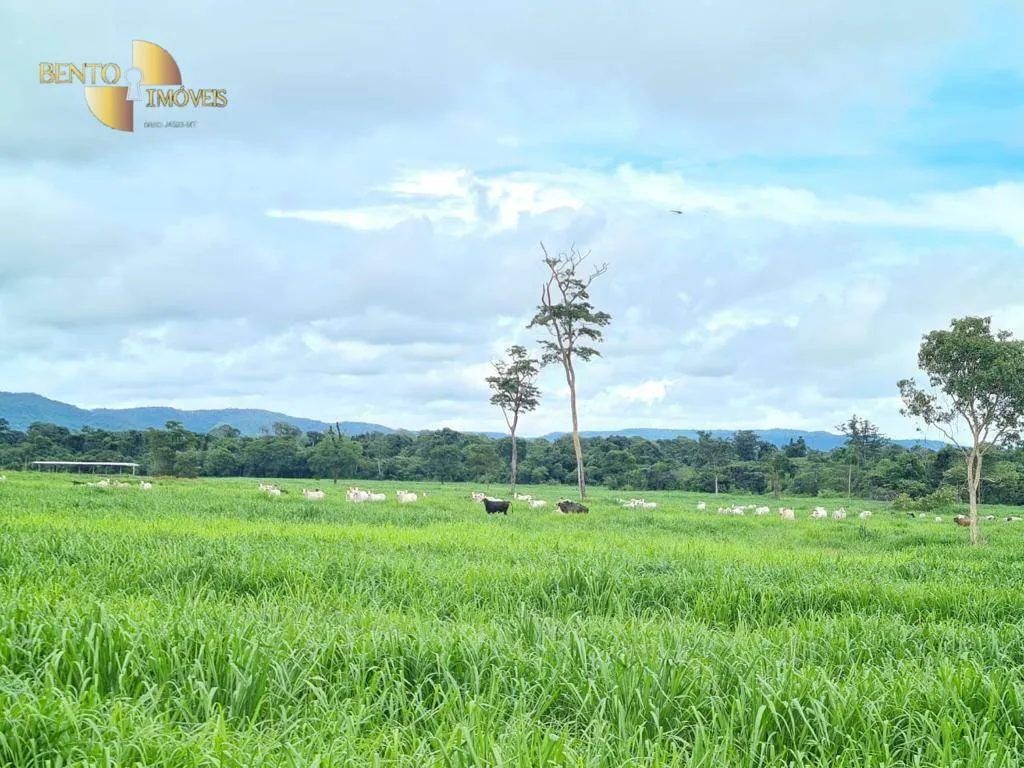 Fazenda à venda de 968 ha em Confresa, MT, Brasil
