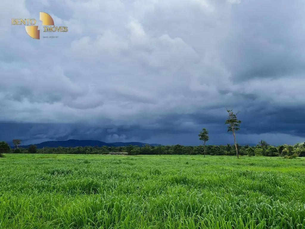 Fazenda à venda de 968 ha em Confresa, MT, Brasil